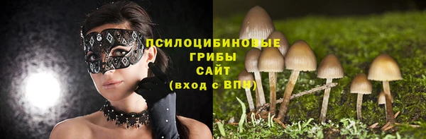 амф Алексеевка