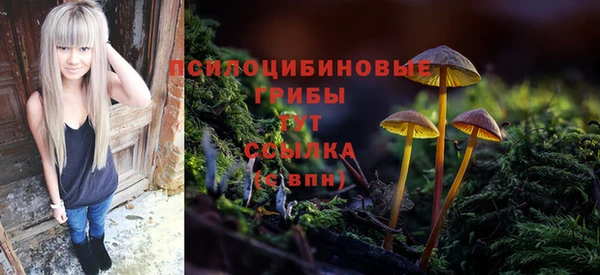 мескалин Алексин