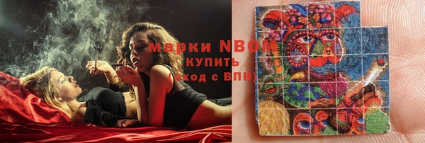 амф Аркадак