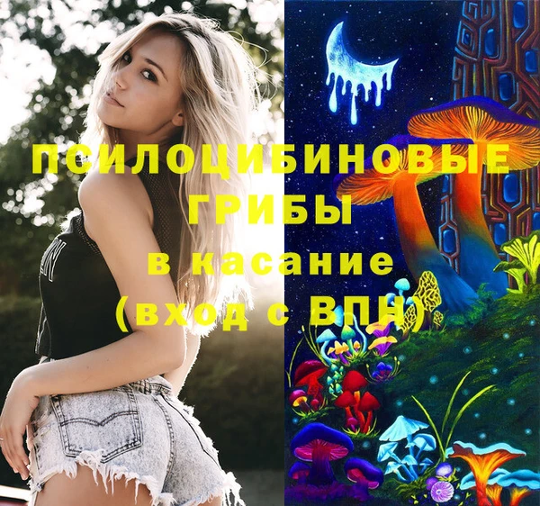 2c-b Арсеньев