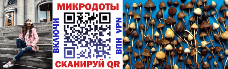 Галлюциногенные грибы MAGIC MUSHROOMS  купить наркоту  kraken зеркало  Тарко-Сале 