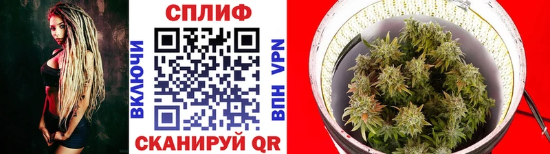 Бошки марихуана THC 21%  Тарко-Сале 